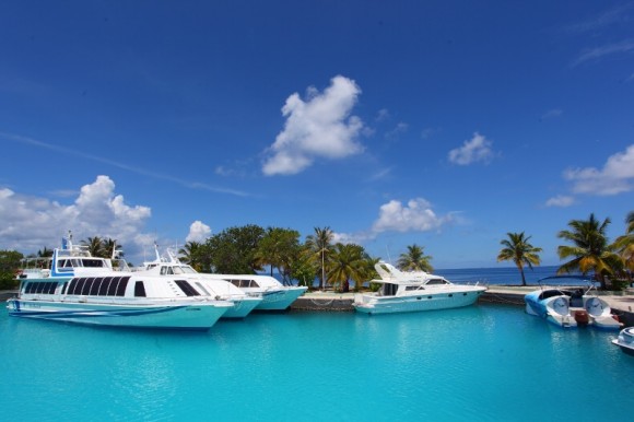 今夜的海会是什么颜色（三）