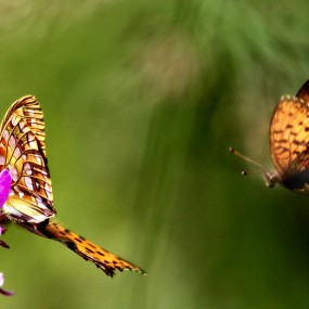 Kari Liimatainen 风光摄影作品（二）