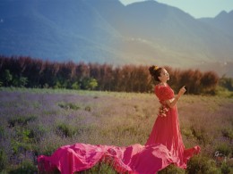 ~~~薰衣草之恋~~~