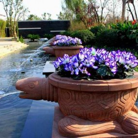 天朗地产园林外拍活动（第一次参加外拍）