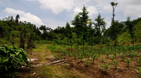 远离城市的地方