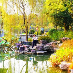 景也，画也？（2014年10月摄于杭州）