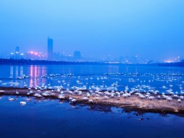 我的摄影我的团【冬季晋西 陕北风光 三门峡天鹅摄影团】