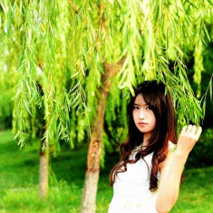 雨过天晴，浐灞小拍