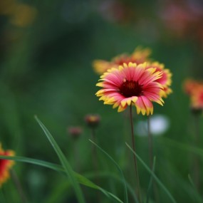 下班路上的收获