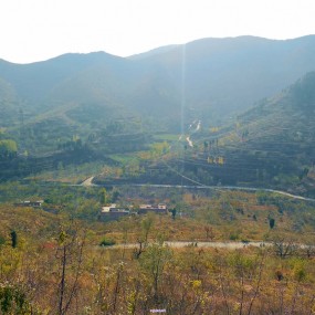 山区里的绿色生活