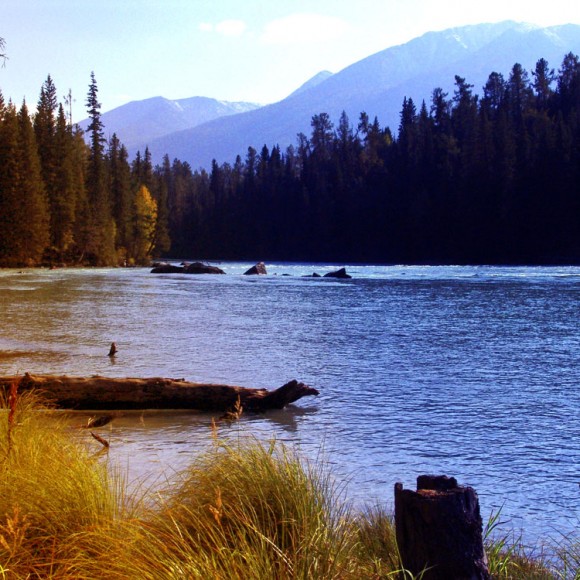 喀纳斯印象（一）