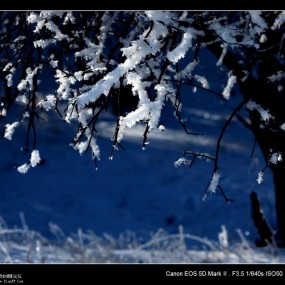 形象摄绘作品------冬日坝上