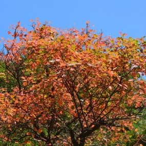 【小游、第三帖】宝鸡眉县红河谷一日游