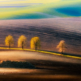 令人销魂的诗意风光，一看就醉！