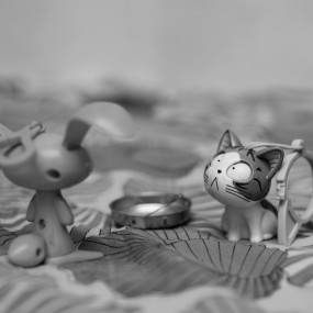 我想家了。。。