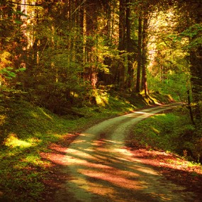 瑞士随记-----温暖 再温暖些