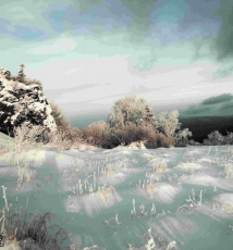 刘佳“马语者”的摄影梦想