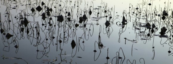 这是什么符号？