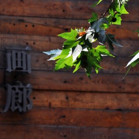 民族的【还是扫街】