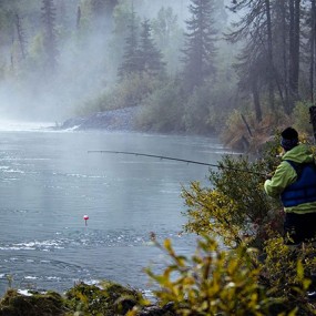 “史密斯永远的荒野摄影大赛”优秀作品