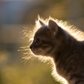 Photographer Serhat Demiroglu