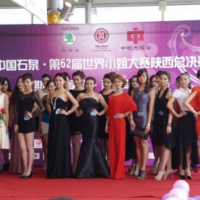 陕西世界小姐赛区名花