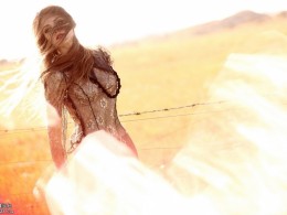 安东的坝上创作