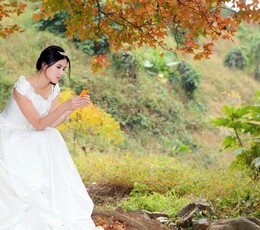 枫叶的情怀……