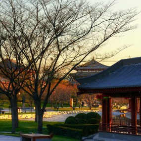 初冬如秋--原色