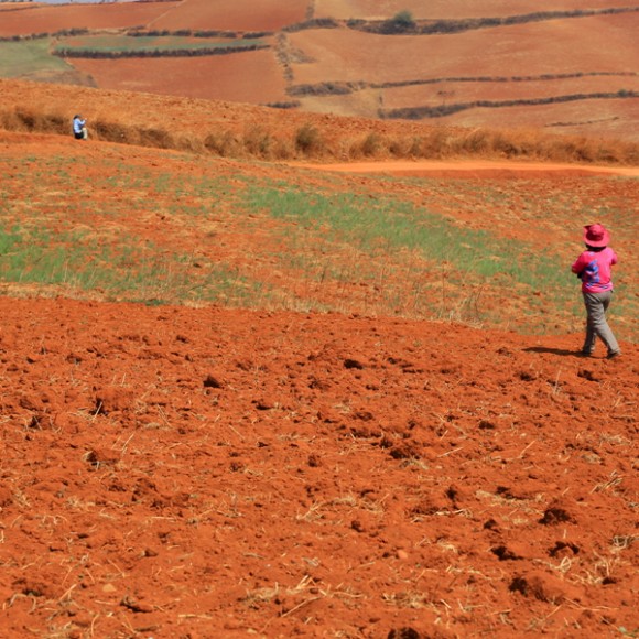云南东川红土地