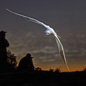 穿越，穿越—冲击视觉的精品