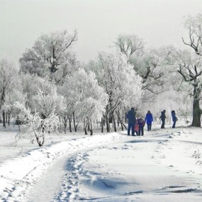 雾凇奇观甲天下