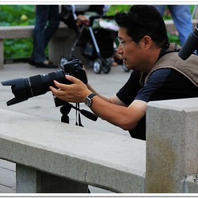 荷花香自哪里来，曲江南湖朵朵鲜