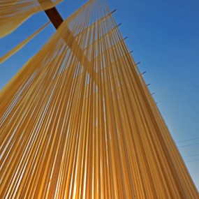 农家挂面作坊晒场