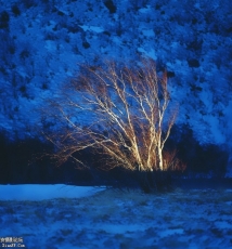 《影绎长白山》摄影展爱普生影艺坊开展