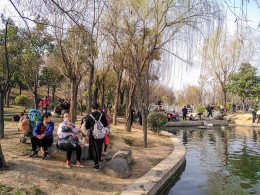 春天真的来了！