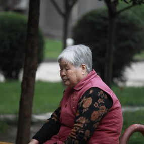 风停雨住，出来捏几张影.