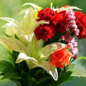 红色康乃馨，母亲节的祝福