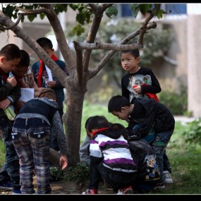 我的猫友和小友。