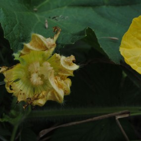 18-55拍的，见笑了