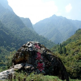 【随拍】 大山的呼唤（ 10 ）神 农 架