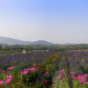 钻石公园风景美