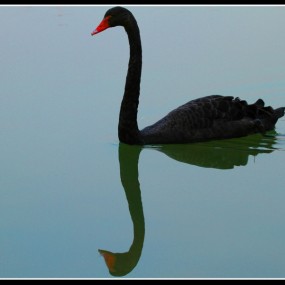 南湖随拍--初学者报道，希望得到高手们的指正！