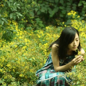 洒金桥活动后花园