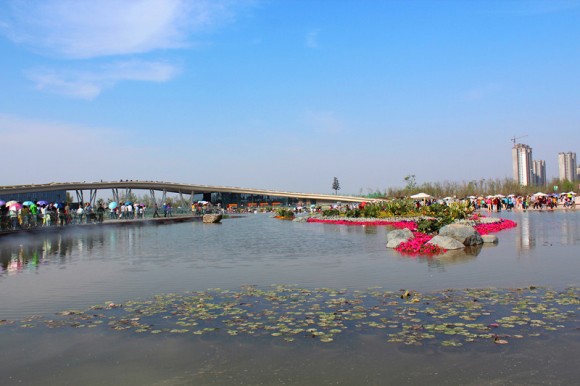 闲游浐灞国家湿地公园。