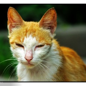 第一次来，发几张旧照！