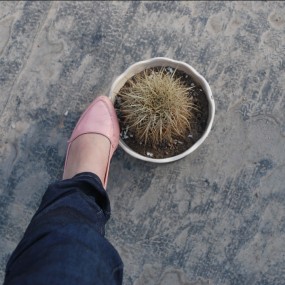 学拍（一双鞋和一个球的故事）