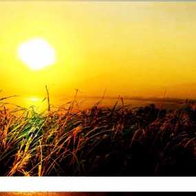 陈伟作品：《随拍》