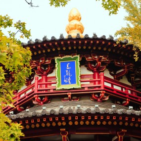 兴庆宫的秋色记忆