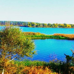 美丽的俄罗斯郊外