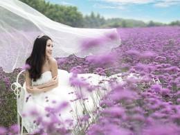 【西安新青年摄影】