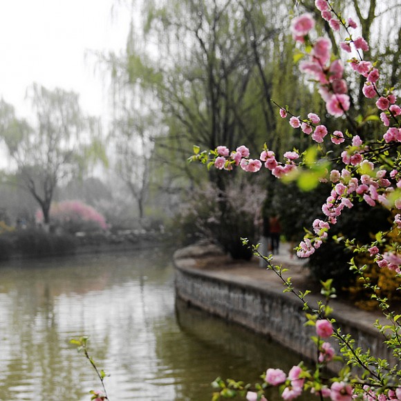 满园春色关不住