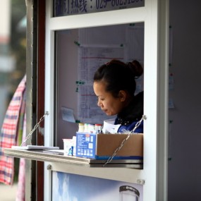 即将凋谢的格桑花