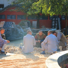 600D 18-135套头 新手 嘿嘿